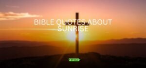 bible quotes about sunrise