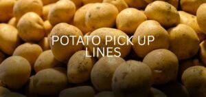 Potato pick up lines